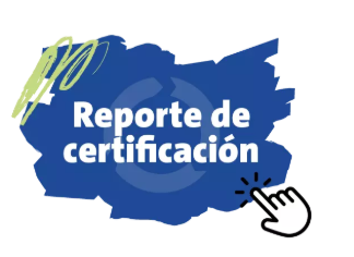 Reporte