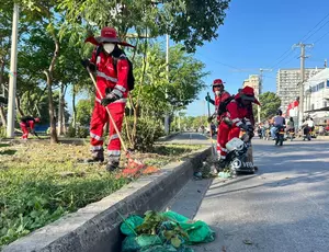 24 Horas Limpiando 4