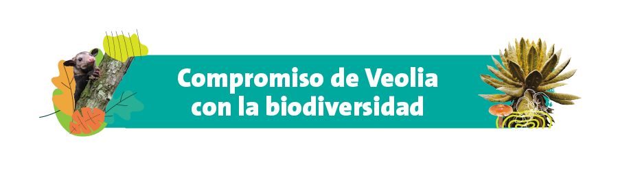 Veolia