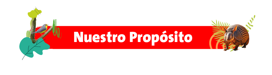 Nuestra estrategia corporativa responde de manera efectiva a la crisis ambiental, integrando la economía con la ecología mediante nuestro compromiso de reverdecer el planeta y liderar la transformación ecológica en ciudades e industrias. Nuestro enfoque multifacético considera el desempeño económico, financiero, comercial, social, ambiental y de recursos humanos, y se apoya en 15 indicadores clave que miden el progreso en cada una de estas áreas, beneficiando a todas las partes interesada