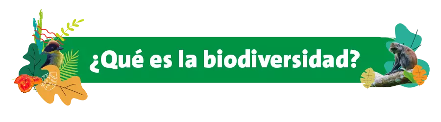 Veolia comprende la biodiversidad como un pilar fundamental para la sostenibilidad ambiental y económica.